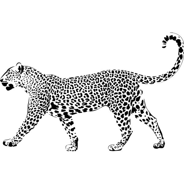 Leopard Thumbnail